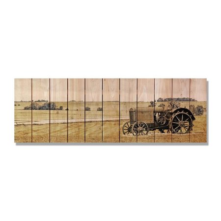 RICKI&APOSS RUGS 60 x 20 in. Heart Land Inside & Outside Cedar Wall Art RI264300